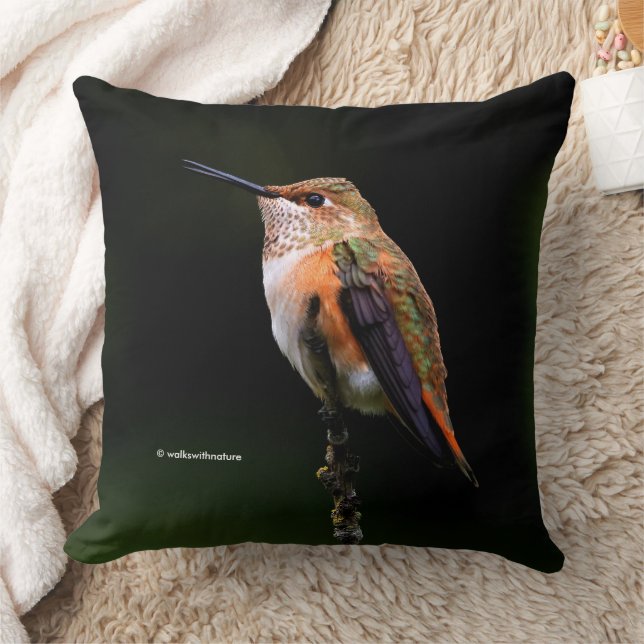 Cute Rufous Hummingbird på Fruit Träd Kudde (Filt)