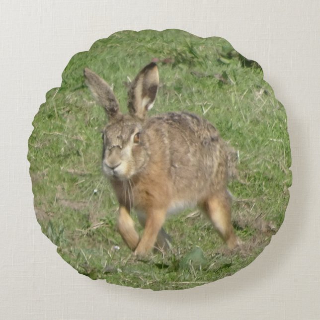 Cute Runhare Close Up Round Pillow Rund Kudde (Framsidan)