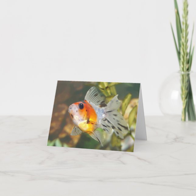 Cute ryukin goldfish Note Cards Kort (Framsida)