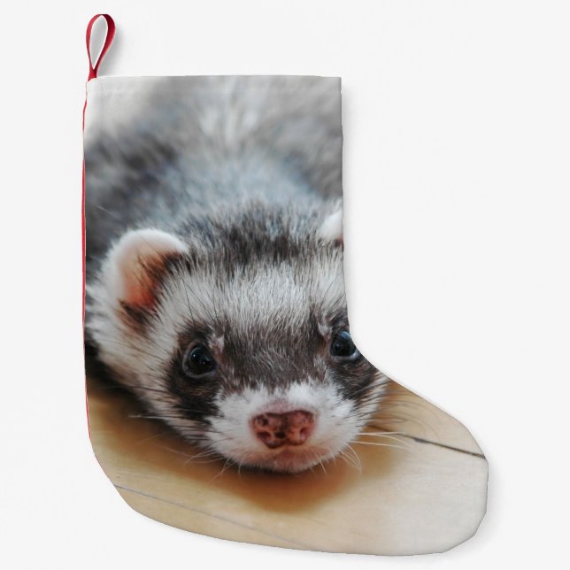 Cute Sable Ferret Liten Julstrumpa (Framsidan)