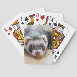 Cute Sable Ferret Spelkort