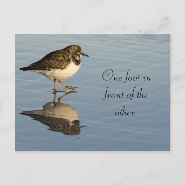 Cute Sadpiper Bird Motivity Postcard Vykort (Framsida)