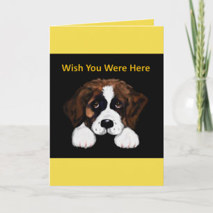 Cute Saint Bernard Kort