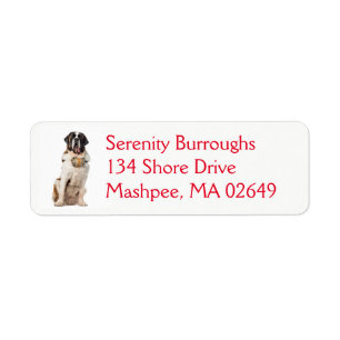 Cute Saint Bernard Puppy Hund Funny St Bernard Returadress Etikett