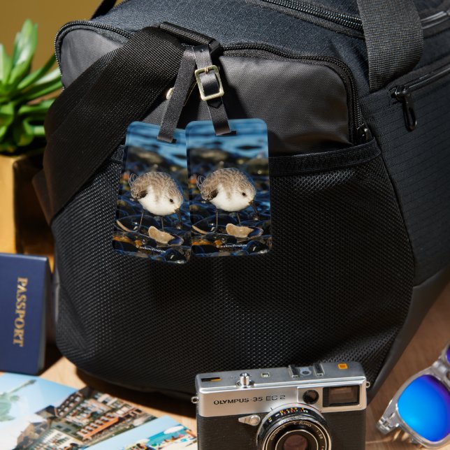 Cute Sanderling Enjoys Seafood Dining at the Beach Bagagebricka (Fram & Baksida)
