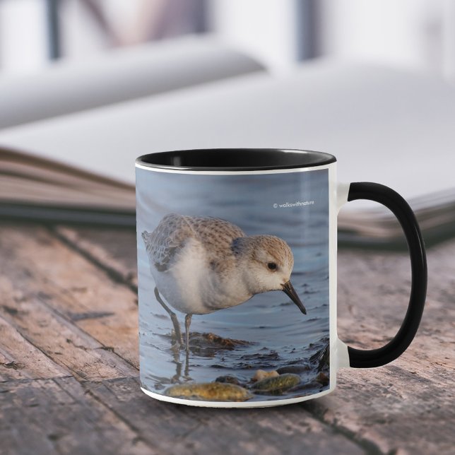 Cute Sanderling Sandpiper Forages on Shore Mugg (Cute Sanderling Forages on Shore 11 oz Coffee Mug Cover Photo.)