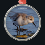 Cute Sanderling Sandpiper Strolls a Winter Beach Julgransprydnad Metall<br><div class="desc">Sanderlings är mycket små - och förvånansvärt, ganska lättillgängliga - flyttfåglar som lätt kan hittas på Vancouver-stränderna under de kallaste vintermånaderna. Den här stångade ganska lugnt vid kusten. Fotograferade på en mycket solig och upptagen vintereftermiddag i Regionalparken vid Boundary Bay. Baserat på originalfotografiet av W.H. Sim. Alla rättigheter förbehållna. Se...</div>