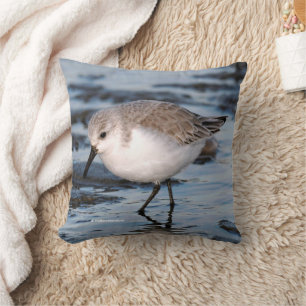 Cute Sanderling Sandpiper vid vinter-bålen Kudde