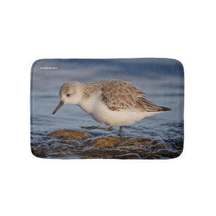 Cute Sanderling Sandpiper Walking Winter Beach Badrumsmatta