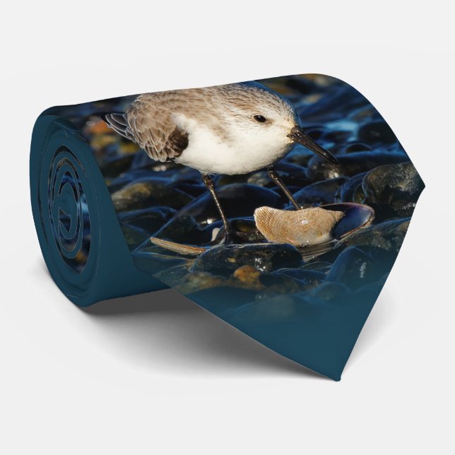 Cute Sanderling Shorebird Dines på Clam i Beach Slips (Rullad)