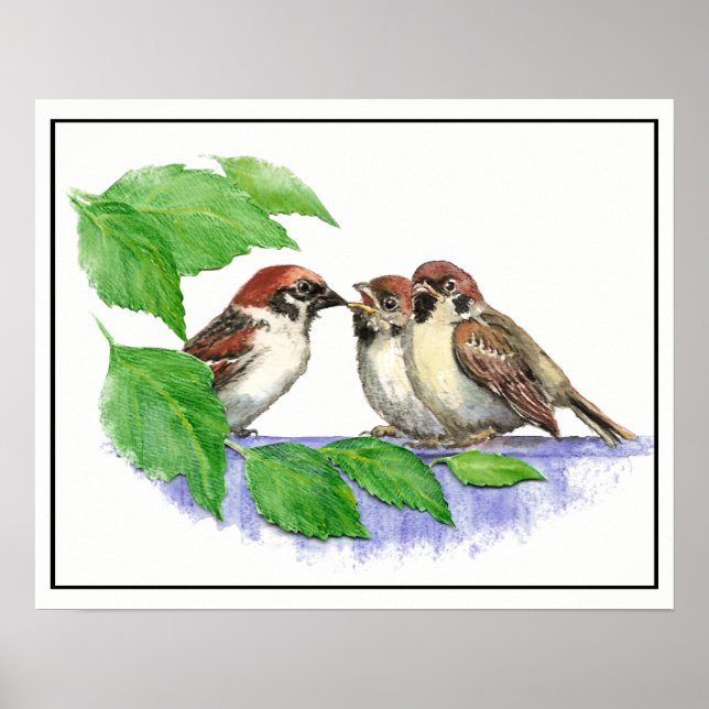 Cute Sång Sparrow, Bird, Garden, Djurnaturen Poster (Framsidan)