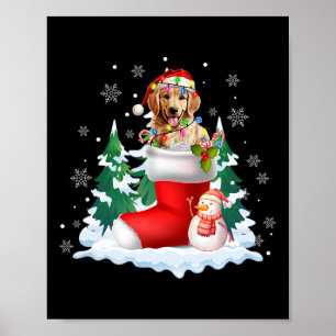 Cute Santa Golden Retriever i julsockel-Hund Poster
