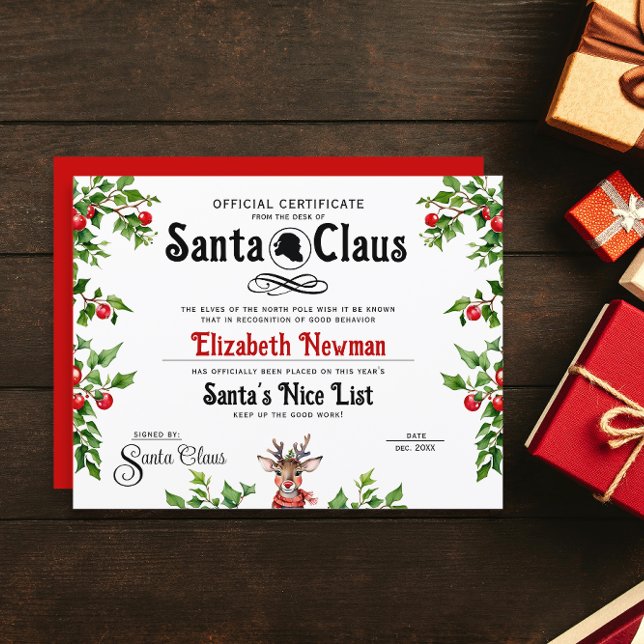 Cute Santa Naughty Nice LIst Officiell Certificate (Skapare uppladdad)