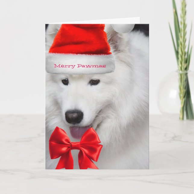 Cute Santa Samoyed god jul-kort Kort (Framsida)