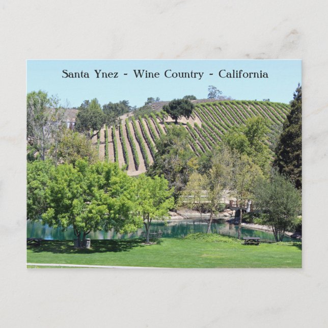 Cute Santa Ynez Vin Land vykort! Vykort (Framsida)