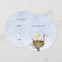 Cute Scene With Little Baby Bird In A Bird's Nest