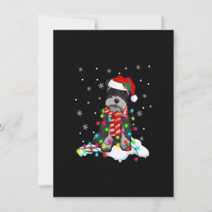Cute Schnauzer-Ljuset med Santa Hat-Hund Inbjudningar