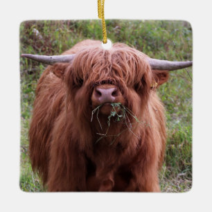Cute Scottish Highland Cow Julgransprydnad Keramik