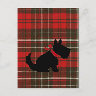 Cute Scotty Hund & Red Tartan Vykort