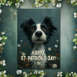 Cute SCruffy Hund och Shamrocks St patrick's day Kort