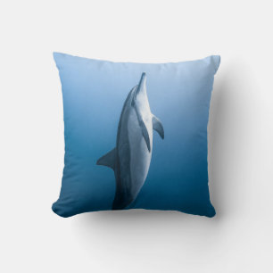 Cute Sea Dolphin Kudde