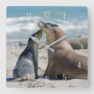 Cute Sea Lejon & Baby Valp Beach Australien Square Fyrkantig Klocka