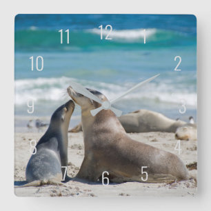 Cute Sea Lejon & Baby Valp Beach Australien Square Fyrkantig Klocka