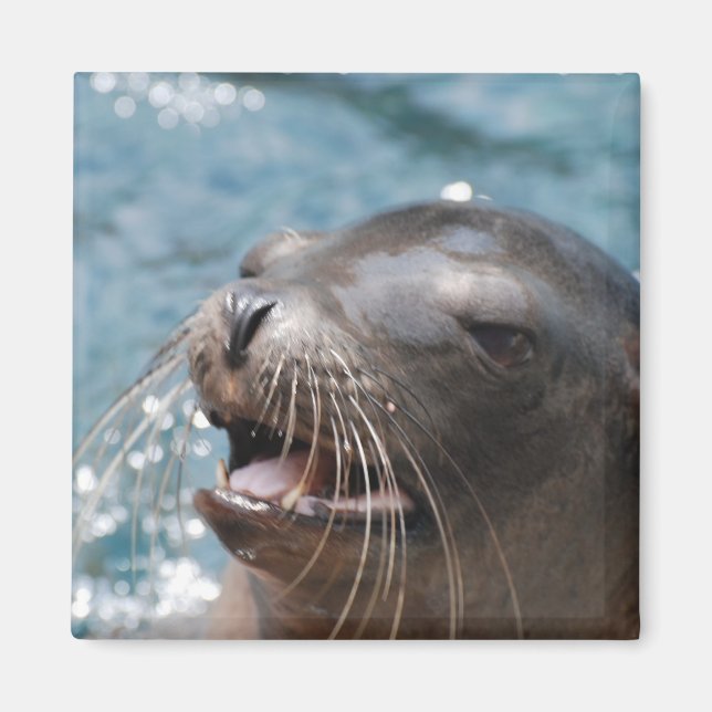 Cute Sea Lejon Magnet (Framsidan)