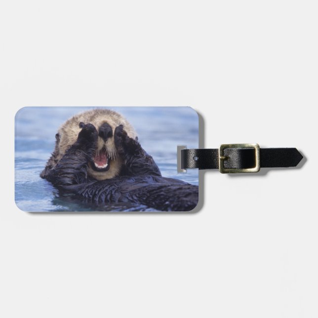 Cute Sea Otter | Alaska, Förenta staterna Bagagebricka (Horisontell Framsida)