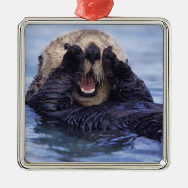 Cute Sea Otter | Alaska, Förenta staterna Julgransprydnad Metall (Framsidan)