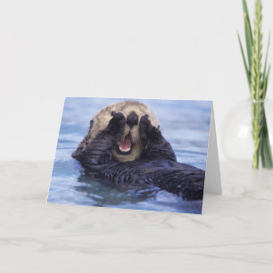Cute Sea Otter Alaska, Förenta staterna Kort