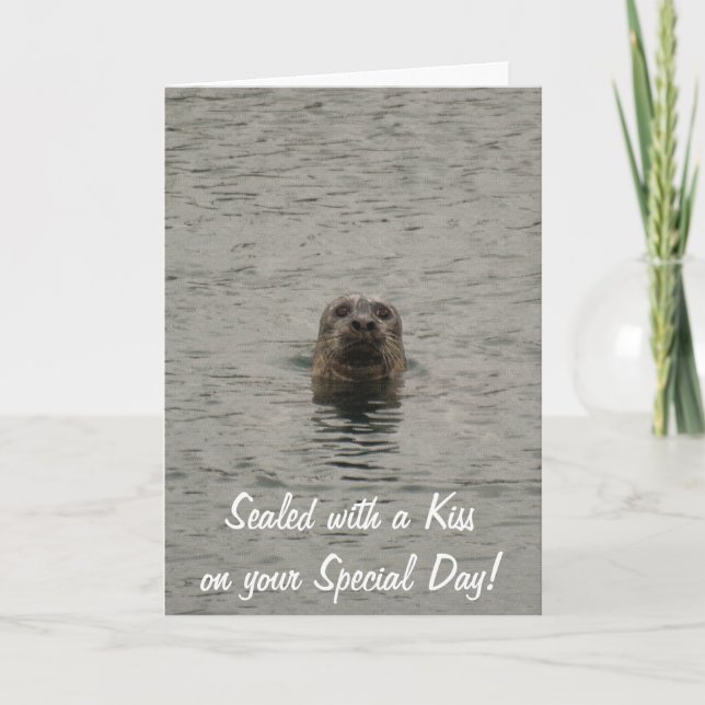 Cute Seal-älskare-födelsedagskort Kort (Framsida)