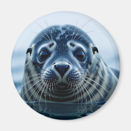 Cute Seal Close up Magnet
