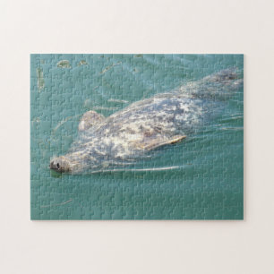Cute Seal Flytande på rygg i Cape Cod Pussel