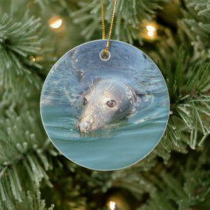 Cute Seal simmar i Ocean-jultomten Keepsak Julgransprydnad Keramik