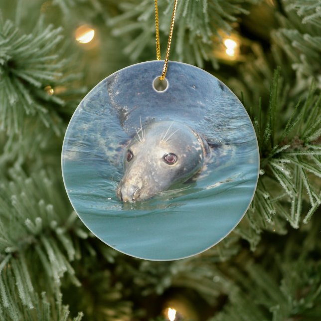 Cute Seal simmar i Ocean-jultomten Keepsak Julgransprydnad Keramik (Träd)