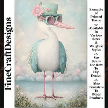 Cute Shabby chic Cottagecore Bird BS9 Decoupage