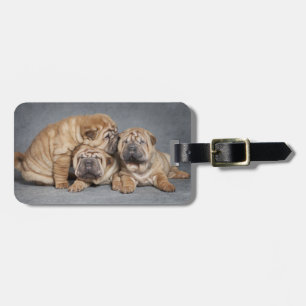 Cute Shar Pei Puppies Bagagebricka