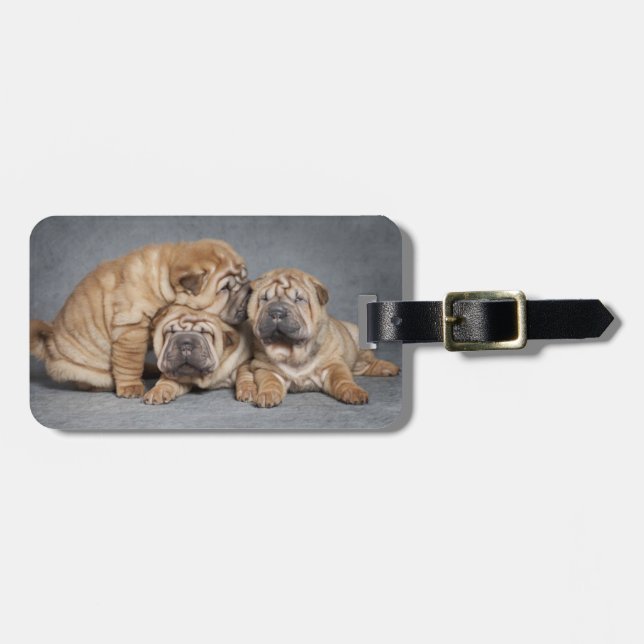 Cute Shar Pei Puppies Bagagebricka (Horisontell Framsida)