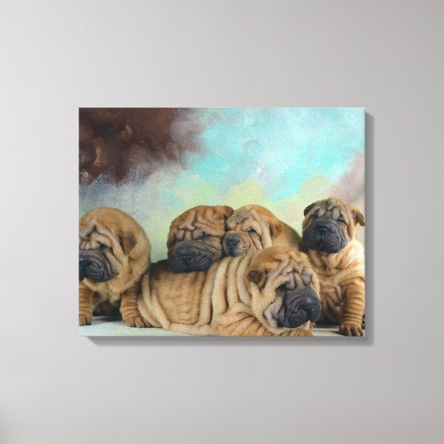 Cute Shar pei-valpar Canvastryck (Framsida)