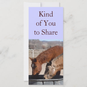 Cute Sharing är Roligt Horse Westerna Bokmärken