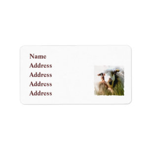 CUTE SHEEP ADRESSETIKETT