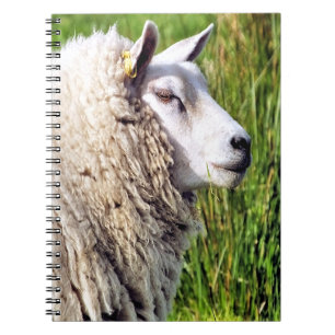 CUTE SHEEP ANTECKNINGSBOK
