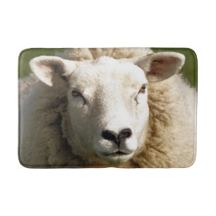 CUTE SHEEP BADRUMSMATTA