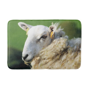 CUTE SHEEP BADRUMSMATTA