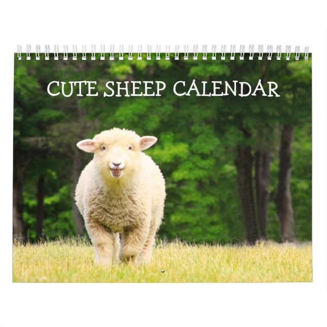 Cute Sheep Calendar Kalender (Omslag)