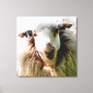 CUTE SHEEP CANVASTRYCK