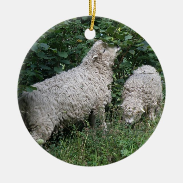 Cute Sheep Eating Löv Ornament (Framsidan)