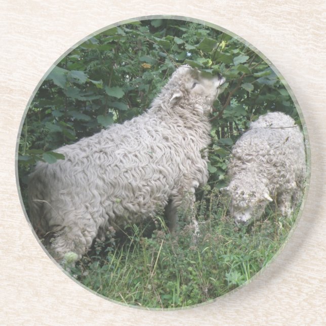 Cute Sheep Eating Löv Underlägg Sandsten (Framsidan)