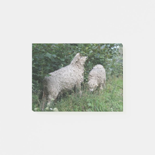 Cute Sheep Eep Löv Post it notes Pad Post-it Block (Framsida)
